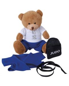 Bear with budo suit