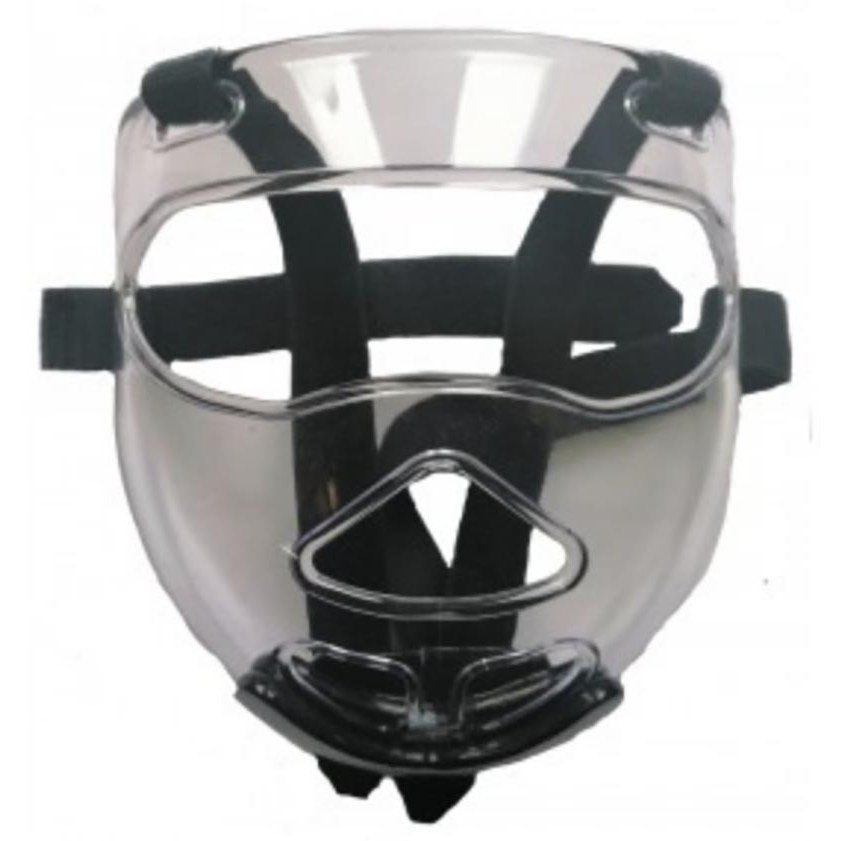 Iconic Transparent Face Mask